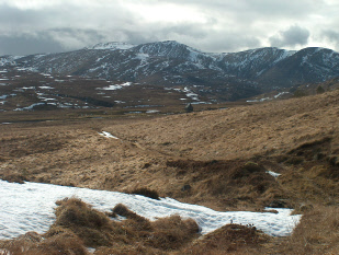 Glen Roy cole to Loch Spey